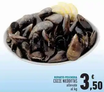 Conad Superstore Cozze Meddittas allevate offerta