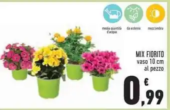 Conad Superstore Mix Fiorito vaso 10 cm al pezzo offerta