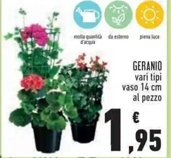 Conad Superstore Geranio vari tipii vaso 14 cm al pezzo offerta