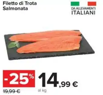 Salmonata Filetto di Trota