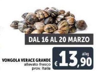 Deco Supermercati Vongola Verace Grande offerta