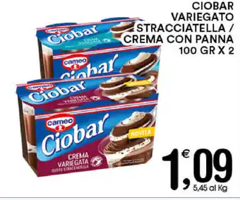 Gecop Cameo Ciobar Variegato Stracciatella/Crema con Panna 100gr x 2 offerta