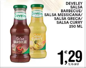 Gecop Develey Salsa Barbecue/Salsa Messicana/Salsa Greca/Salsa Curry 250ml offerta
