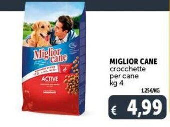 Deco Supermercati Miglior Cane crocchette per cane kg 4 offerta