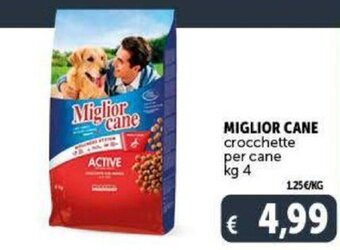 Deco Supermercati Miglior Cane crocchette per cane kg 4 offerta