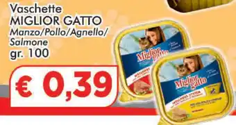 Miglior Gatto Vaschette 100gr