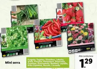 Lidl Mini Serra offerta