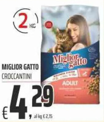 Coop Miglior Gatto Croccantini offerta
