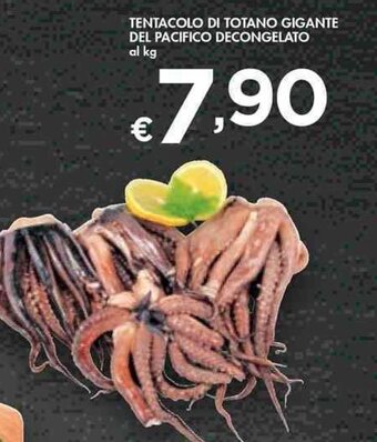 Bennet Tentacolo di Totano Gigante Del Pacifico Decongelato offerta