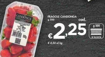 Bennet Fragole Candonga g 500 offerta