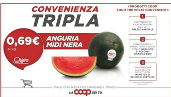 Coop Anguria offerta