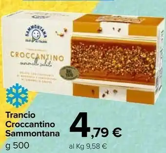 Carrefour Market Sammontana Trancio Frutti Di Bosco 500 G(ml) offerta