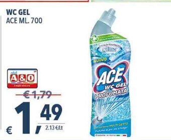 A&O ACE WC Gel 700 ml. offerta