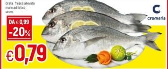 Famila Cromaris Orata Fresca Allevata Mare Adriatico offerta