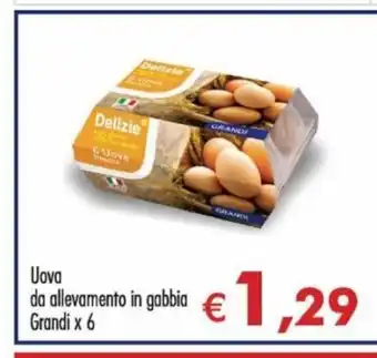 Uova da allevamento in gabbia Grandi x 6