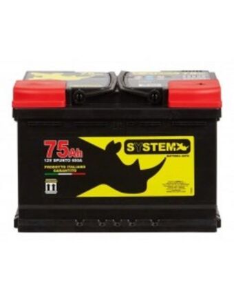 Batteria auto system plus...