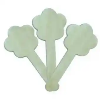 Stecche fiori - 10 pezzi