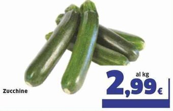 Sigma Zucchine offerta