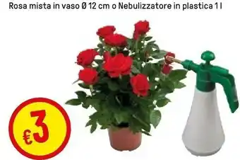 Iper La Grande Rosa Mista In Vaso offerta
