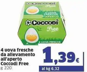 Coccodì Free 4 uova fresche da allevamento all'aperto g 220