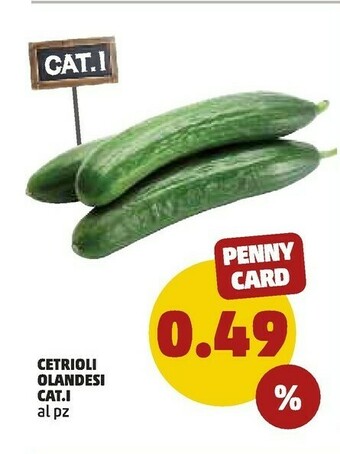 PENNY Cetrioli Olandesi offerta