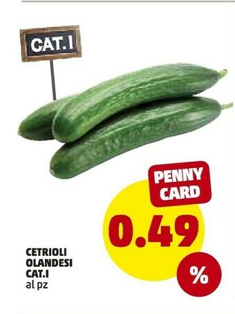 PENNY Cetrioli Olandesi offerta