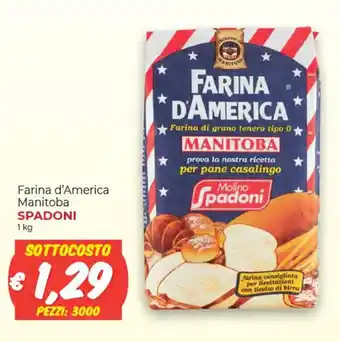 Spadoni Farina d'America Manitoba 1 kg