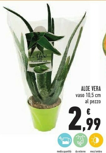 Conad Superstore Aloe Vera offerta