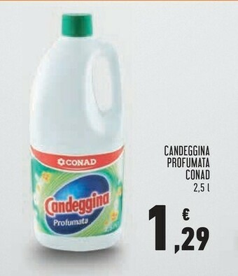 Conad Conad - Candeggina Profumata 2500 Ml offerta
