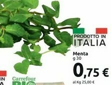 Carrefour Market Menta offerta