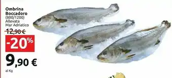 Carrefour Carrefour Ombrina Boccadoro Allevata Mar Adriatico offerta