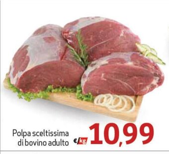 Polpa sceltissima di bovino adulto