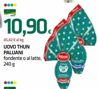 Paluani Uovo Thun 240 g