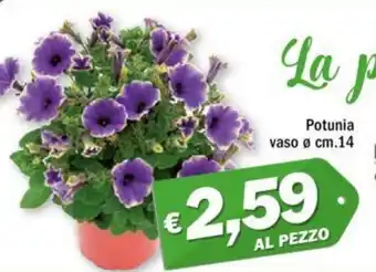 Ard Discount Potunia vaso Ø 14 cm offerta