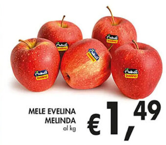 Coal Mele Evelina Melinda offerta
