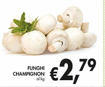 Funghi Champignon