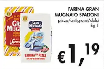 Farina Gran Mugnaio Spadoni pizza/antigrumi/dolce 1 kg