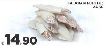Calamari Puliti U5