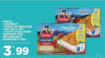 Findus I Gratinati Filetti di Merluzzo vari tipi g 380