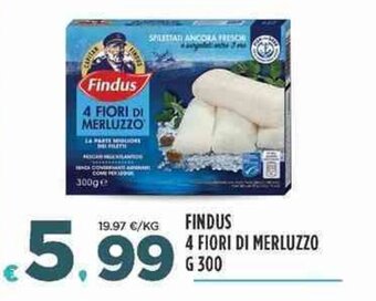 Findus 4 Fiori di Merluzzo g 300