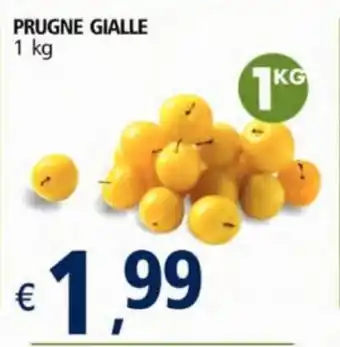 Alter Discount Prugne Gialle 1kg offerta