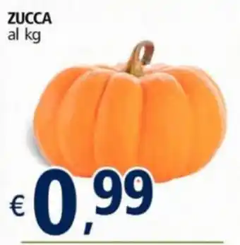 Alter Discount Zucca offerta