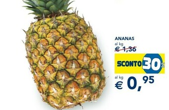 Esselunga Ananas offerta
