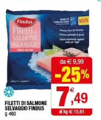 Iperal Findus Filetti Salmone Selvaggio offerta