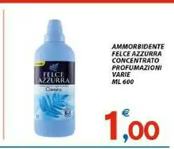 Vivo Supermercati Felce Azzurra Ammorbidente Concentrato offerta