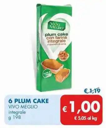 Vivo Meglio 6 Plum Cake integrale g 198