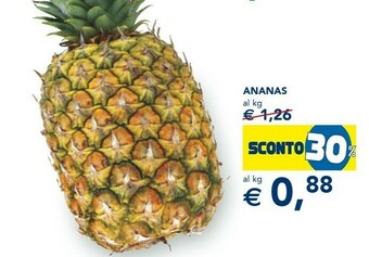Ananas