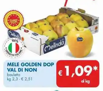 MD Discount Mele Golden DOP Val di Non bauletto kg 2,3 offerta