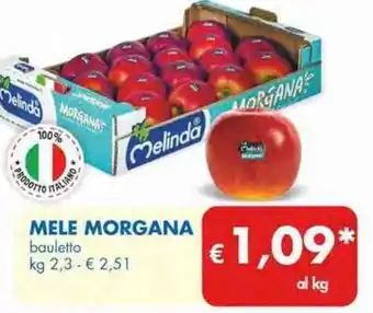 MD Discount Mele Morgana bauletto kg 2,3 offerta