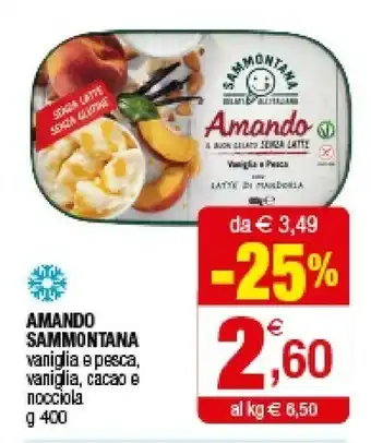 Iperal Sammontana Amando Il Buon Gelato Senza Latte Vaniglia, Cacao E Nocciola 400 G(ml) offerta